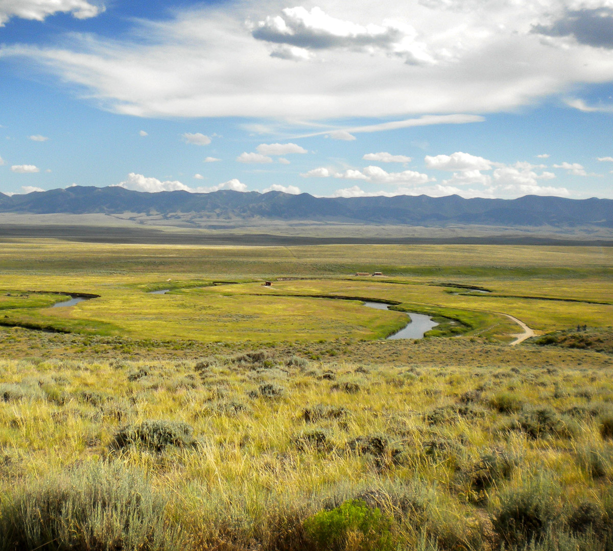 Habitat & Pasture Seed